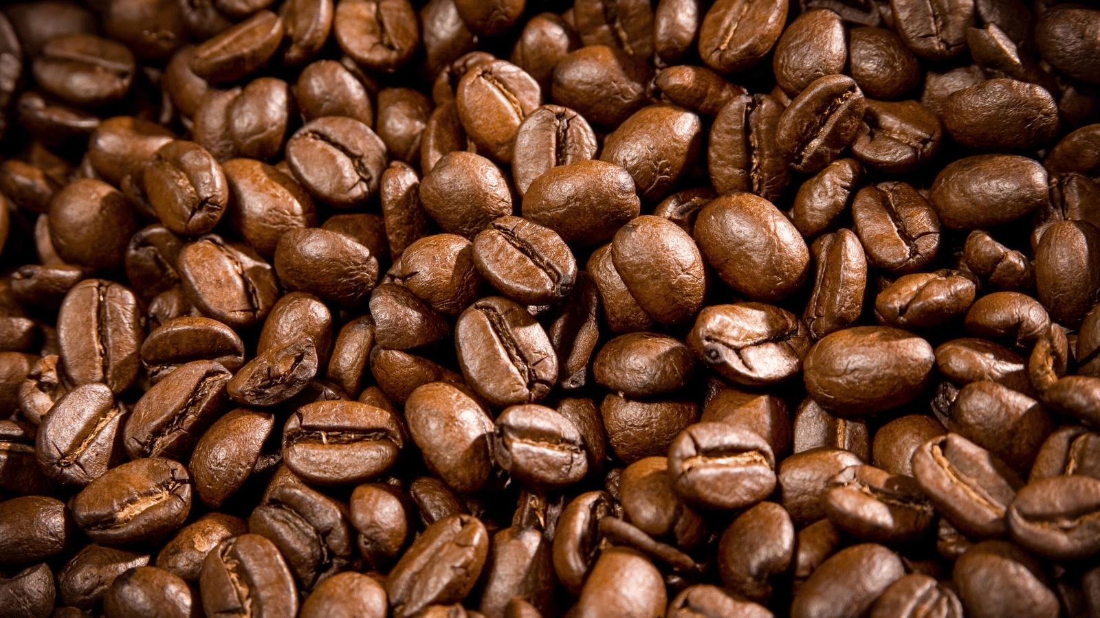 Close up image of pile of coffee beans